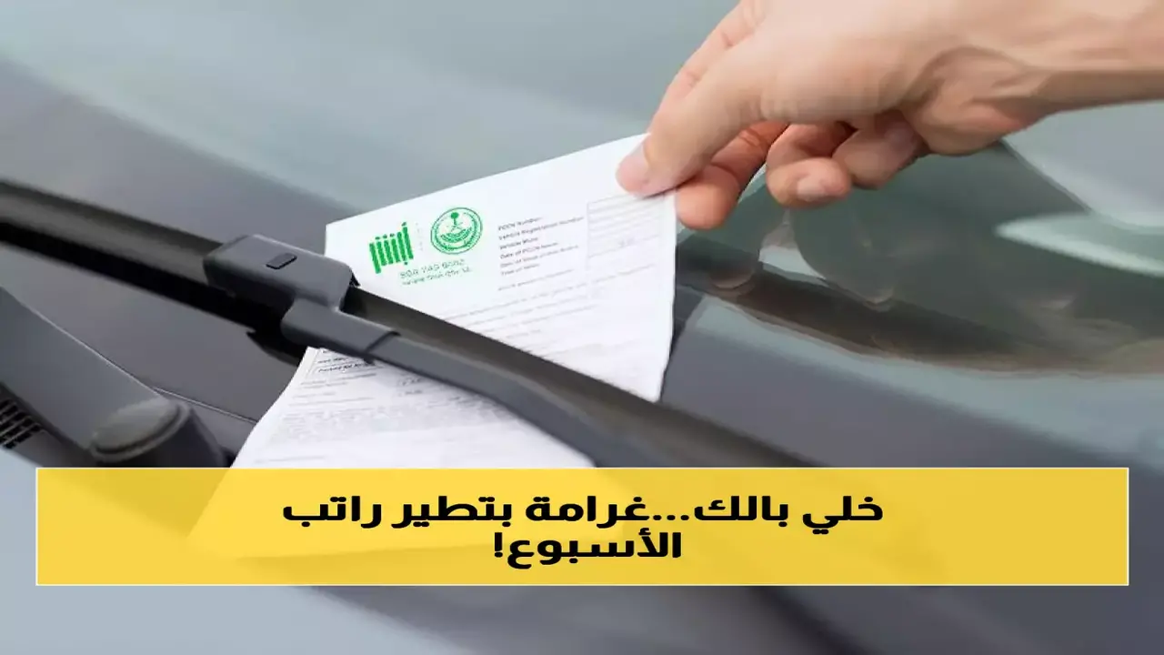 100 ريال غرامة.. عقوبة مرورية مشددة تلاحق الوافدين في شوارع السعودية